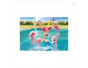 PM70351 Flock of Flamingos