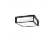 Настенный светодиодный светильник Philips SKIES 42 Вт 26 x 26 см E27 220 - 240 В IP44