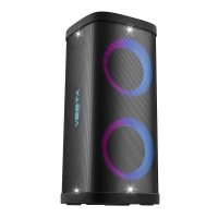 Sistem acustic portabil VESTA PS-QL207M Sistem acustic portabil VESTA PS-QL207M