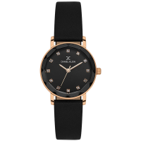 Часы DANIEL KLEIN PREMIUM DK.6.14317-4