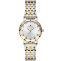 Часы DANIEL KLEIN PREMIUM DK.6.14318-3
