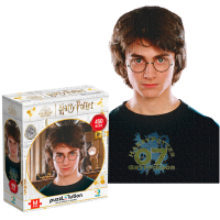 Puzzle „Portretul lui Harry”, seria Harry Potter, 450 elem. Puzzle „Portretul lui Harry”, seria Harry Potter, 450 elem.