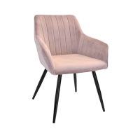 Scaun Iris Pudra+Black Legs