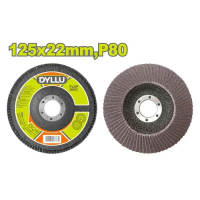 Disc abraziv cu petale 125x22mm DYLLU DTYL2303