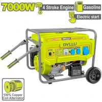 Бензиновый генератор 7000W DYLLU DTGEAA096