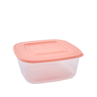 167013 Контейнер для продуктов ALEANA, квадратный, 0.93 л 167013 Контейнер для продуктов ALEANA, квадратный, 0.93 л
