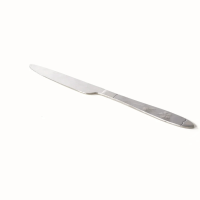 Cuțit inox ambalat individual, 21.5 cm Cuțit inox ambalat individual, 21.5 cm