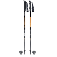 Треккинговые палки Masters Sherpa Antishock Треккинговые палки Masters Sherpa Antishock