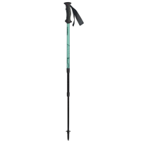 Треккинговые палки Masters Scout Arctic Blue/Blue Треккинговые палки Masters Scout Arctic Blue/Blue
