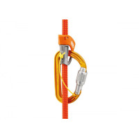 Carabinieră Petzl SMD Screw Lock