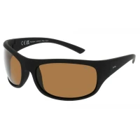 Ochelari INVU A2106N