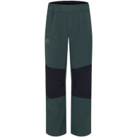 Pantaloni trekking Hannah Luigi JR green gables/anthracite (Mărime îmbrăcăminte copii: 122-128) Pantaloni trekking Hannah Luigi JR green gables/anthracite (Mărime îmbrăcăminte copii: 122-128)