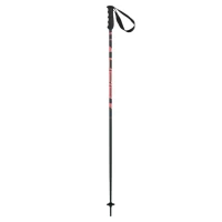 Bețe schi Elan SpeedRod (Culoare: coral; Înălțime: 110) Bețe schi Elan SpeedRod (Culoare: coral; Înălțime: 110)