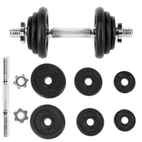 Гантели SG03 Abisal CAST IRON DUMBBELL 10 KG