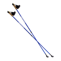 Палки для скандинавской ходьбы NW607 BLUE NORDIC WALKING POLES NILS Палки для скандинавской ходьбы NW607 BLUE NORDIC WALKING POLES NILS