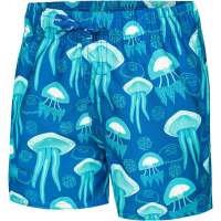 Плав.шорты AQUA SPEED FINN 8/10 Jellyfish(7497/306) Плав.шорты AQUA SPEED FINN 8/10 Jellyfish(7497/306)