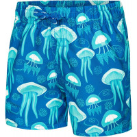 Плав.шорты AQUA SPEED FINN 8/10 Jellyfish(7497/306)