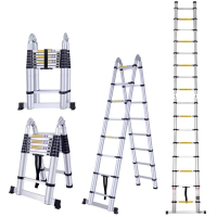 Scara telescopica dubla TechnoWorker 8x2 Scara telescopica dubla TechnoWorker 8x2