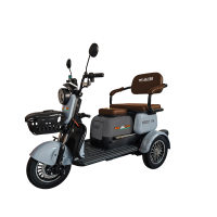 Tricicleta electrica Weter 1000 IN