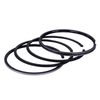 Segmenti 95.00 mm STD - 195N YBX Segmenti 95.00 mm STD - 195N YBX