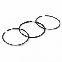 Set segmenri 78,25 / 178F Set segmenri 78,25 / 178F