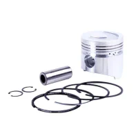 Set piston 92,00 mm 9 unitati - 192N VM002 - 192N Set piston 92,00 mm 9 unitati - 192N VM002 - 192N