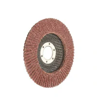 Disc cu lamele abrazive WOKIN P80 115×22,2 mm Disc cu lamele abrazive WOKIN P80 115×22,2 mm