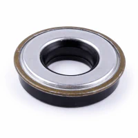 Simering 25*52*9,5/13 - 168F-170F VM117-168F Simering 25*52*9,5/13 - 168F-170F VM117-168F