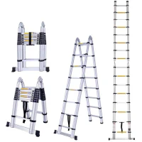 Scara telescopica dubla TECHNOWORKER 8x2