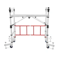 Scara telescopica tip schela TECHNOWORKER 2x10
