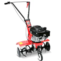 Motosapa Rato RG1.8-45Q-D (843229500) Motosapa Rato RG1.8-45Q-D (843229500)
