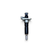 Injector de combustibil (tip chinezesc) 195-15MTD-255 Injector de combustibil (tip chinezesc) 195-15MTD-255
