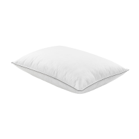 Perna cu pene Somnart Naturo 50 x 70 cm