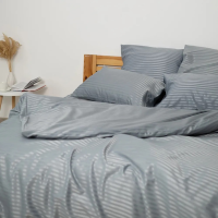 Set de lenjerie pentru pat TEP Stripe Satin 200 x 220 cm Lunar