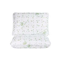 Set 2 perne Somnart Aloe Vera 50 x 70 cm