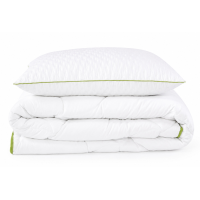 Set Plapuma + 1 pernă Welpy Aloe Vera 145 x 210 cm