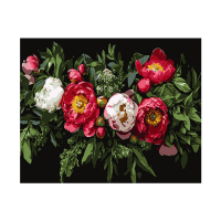 Pictura dupa numere 40X50 cm fundal negru Flori Pictura dupa numere 40X50 cm fundal negru Flori