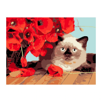 Pictura dupa numere 30X40 cm fundal negru Animale Pictura dupa numere 30X40 cm fundal negru Animale