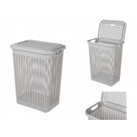 Cos pentru rufe cu capac Econova 50l, 42X31X56cm, gri deschis Cos pentru rufe cu capac Econova 50l, 42X31X56cm, gri deschis
