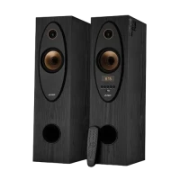Sistem audio F&D T-35X, Negru