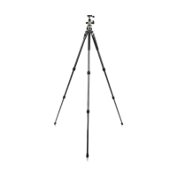 Tripied Foto-Video Vanguard ALTA PRO2+ 263AB 100, Cap trepied de minge, Gri