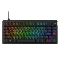 Клавиатура HyperX Alloy Rise 75 Механический Черный - Проводное | Английский