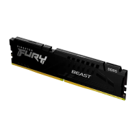 Оперативная память Kingston KF568C34BBE-16 FURY Beast 16 ГБ Чёрный - DDR5 SDRAM | 6800 МГц | 1x 16 ГБ Оперативная память Kingston KF568C34BBE-16 FURY Beast 16 ГБ Чёрный - DDR5 SDRAM | 6800 МГц | 1x 16 ГБ
