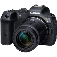 Беззеркальный фотоаппарат Canon EOS R7 & RF-S - APS-C (22.3 x 14.8 mm) | Dual Pixel CMOS AF II Беззеркальный фотоаппарат Canon EOS R7 & RF-S - APS-C (22.3 x 14.8 mm) | Dual Pixel CMOS AF II