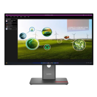 Monitor Lenovo ThinkVision P27q-40 Eclipse Black - 27