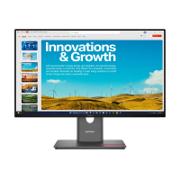 Monitor Lenovo ThinkVision P24QD-40 Eclipse Black - 23.8