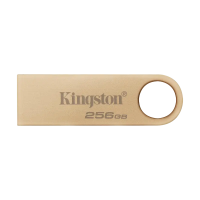 USB Flash накопитель Kingston DataTraveler SE9 G3 256 ГБГБ Золотой - 220 МБ/с | 100 МБ/с