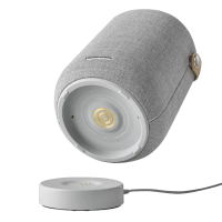 Boxă portabilă Harman Kardon Citation 200 Gri - 50 W | 2.0 Stereo | 8 ore