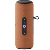 Difuzor Inteligent Yandex Station Street, Portocaliu - Portabil | 30 W | 20000 Hz