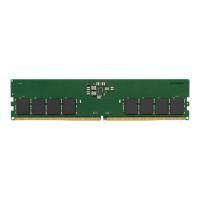 Оперативная память Kingston ValueRAM ValueRAM 16 ГБ Зеленый - DDR5 SDRAM | 5600 МГц | 1x 16 ГБ Оперативная память Kingston ValueRAM ValueRAM 16 ГБ Зеленый - DDR5 SDRAM | 5600 МГц | 1x 16 ГБ